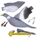 Чучело голубя Sport Plast FL210 FB