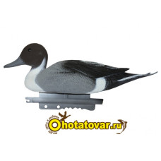 Чучело шилохвость Sport Plast (селезень)