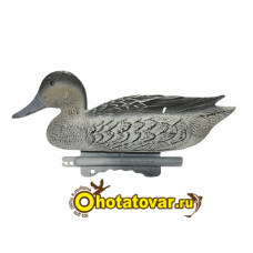 Чучело шилохвость Sport Plast (кряква)