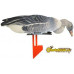 Комплект чучел гусей NRA FUD Bean Goose (Гуменник) Комплект чучел гусей NRA FUD Bean Goose (Гуменник)