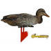 Комплект чучел уток NRA FUD Mallards (Кряква)