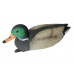 Чучело кряква плавающая (селезень) BirdLand