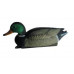 Чучело кряква плавающая большая (селезень) BirdLand Чучело кряква плавающая большая (селезень) BirdLand