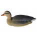 Чучело кряква плавающая большая (утка) BirdLand Чучело кряква плавающая большая (утка) BirdLand