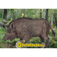 Мишень "Кабан полноцветный"