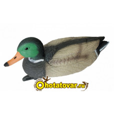 Чучело кряква плавающая (селезень) BirdLand