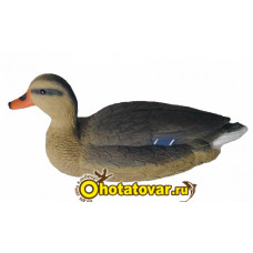 Чучело кряква плавающая большая (утка) BirdLand