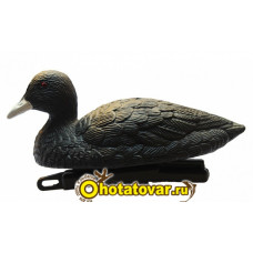 Чучело утка-лысуха плавающая BirdLand