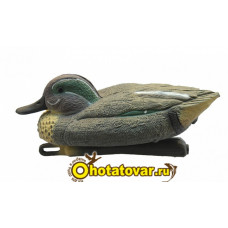 Чучело чирок плавающий (селезень) BirdLand