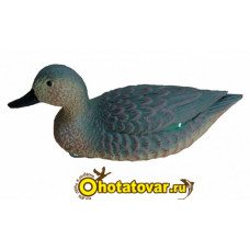 Чучело чирок плавающий (утка) BirdLand