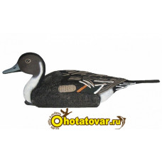 Чучело шилохвость плавающая (селезень) BirdLand