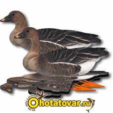 Комплект чучел гусей NRA FUD Bean Goose (Гуменник) Комплект чучел гусей NRA FUD Bean Goose (Гуменник)