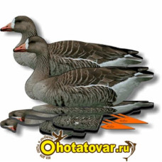 Комплект чучел гусей NRA FUD White Front (Белолобый) Комплект чучел гусей NRA FUD White Front (Белолобый)
