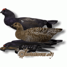 Чучела в виде профиля тетерева NRA FUD