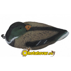 Чучело кряква спящая (селезень) BirdLand