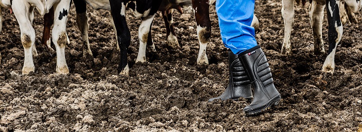 Купить зимние сапоги от Polyver Winter black теплые 