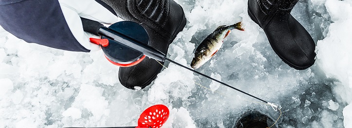 Доставка РФ Зимние сапоги Polyver Winter купить